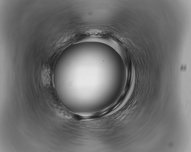 X0000091991394200709061409