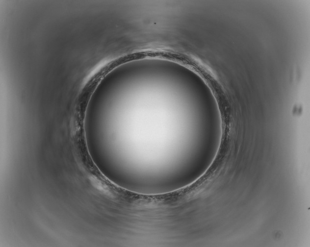 X0000091991400200709061409