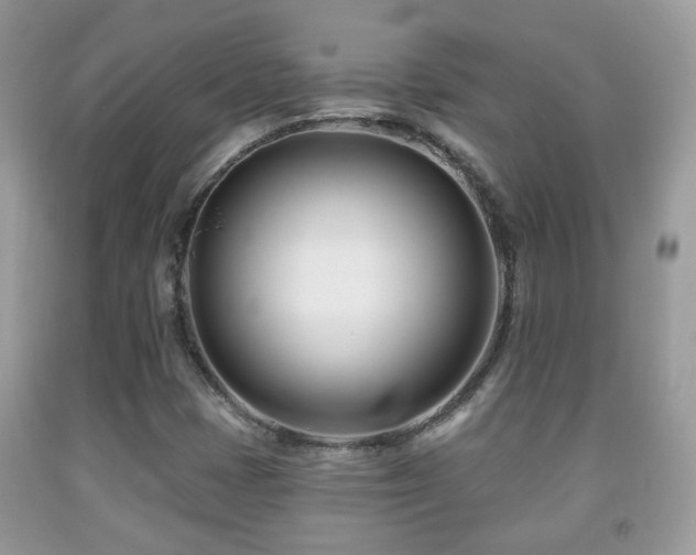X0000091991401200709061409