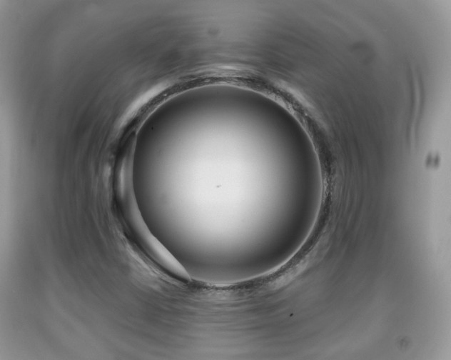 X0000091991402200709061409