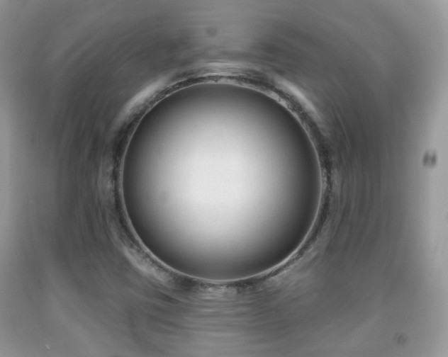 X0000091991403200709061409