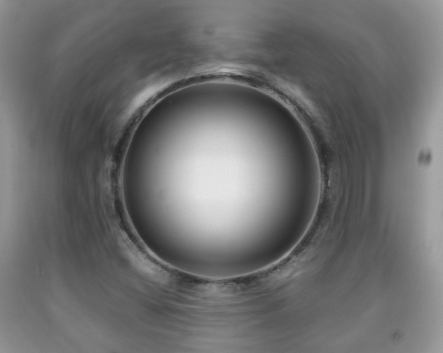 X0000091991404200709061409