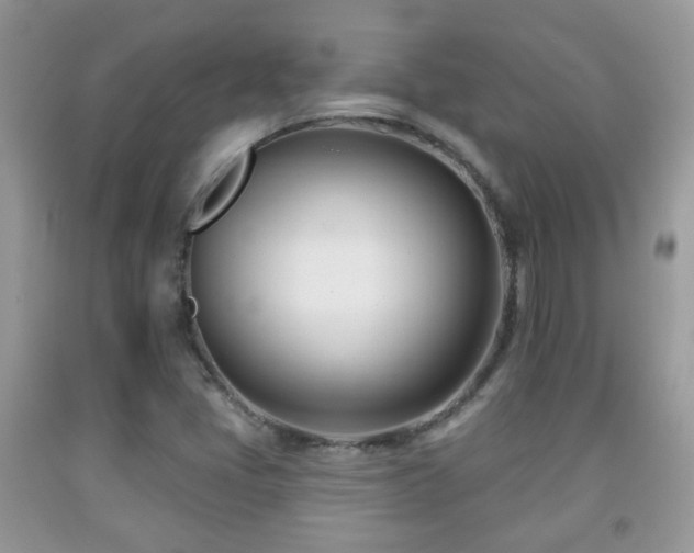 X0000091991405200709061409