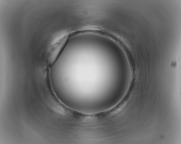 X0000091991406200709061409