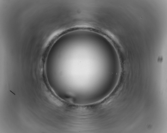 X0000091991408200709061409