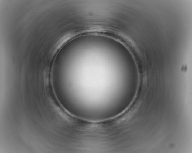 X0000091991409200709061409