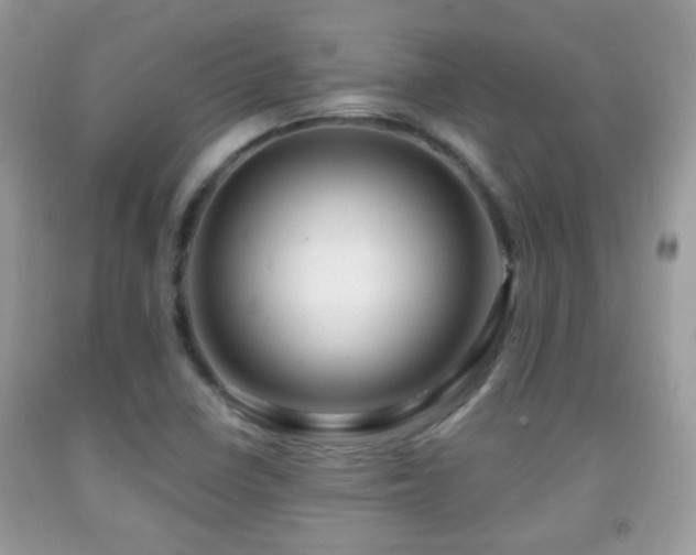 X0000091991410200709061409