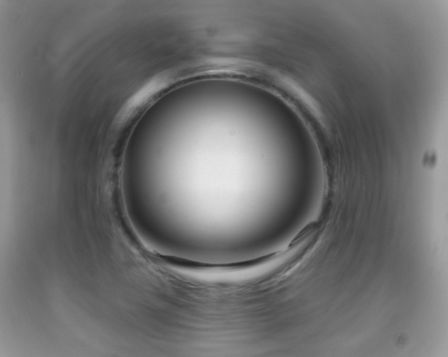X0000091991411200709061409
