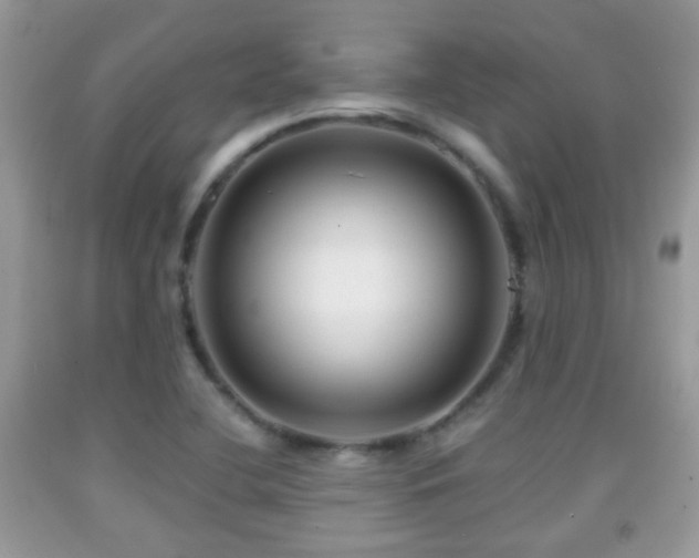 X0000091991412200709061409