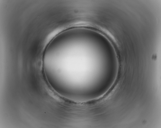 X0000091991413200709061409