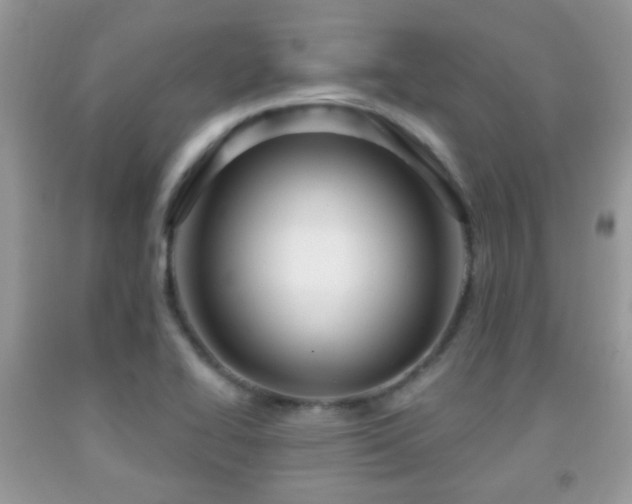 X0000091991414200709061409