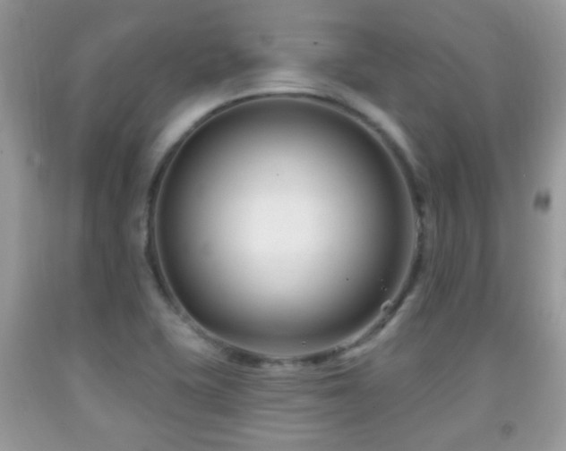 X0000091991415200709061409