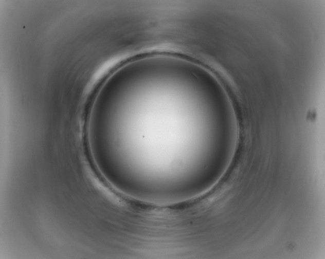 X0000091991416200709061409