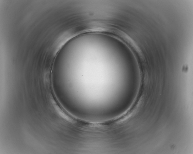X0000091991417200709061409