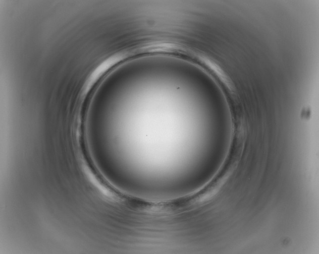 X0000091991418200709061409