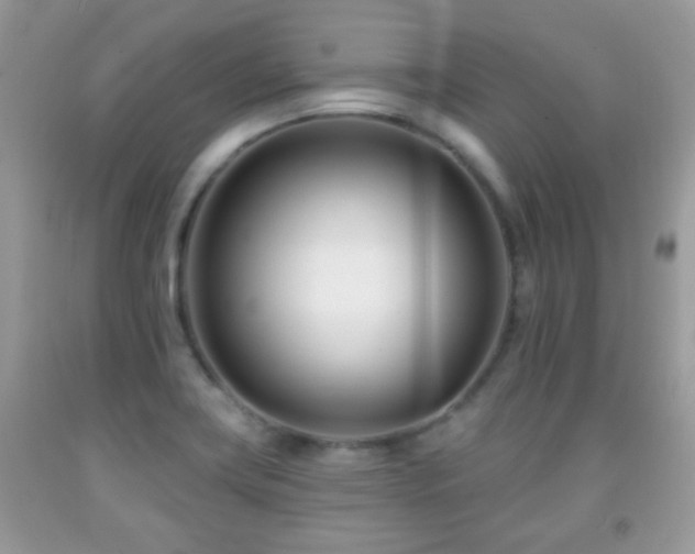 X0000091991419200709061409