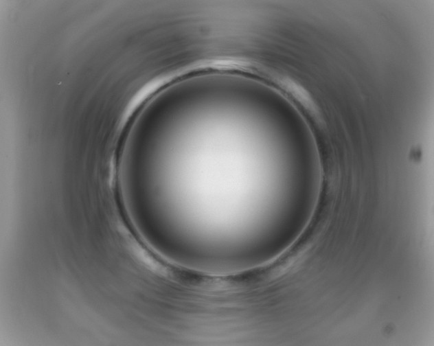 X0000091991420200709061409