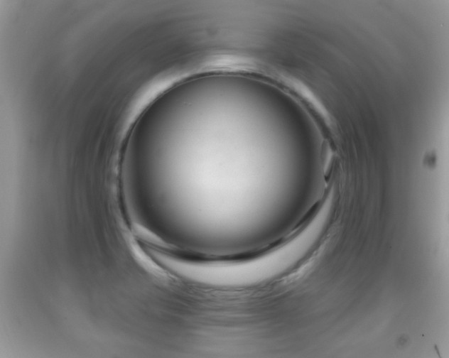 X0000091991421200709061409