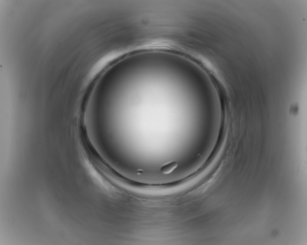 X0000091991422200709061409