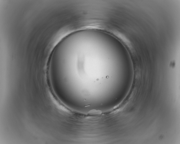 X0000091991423200709061409