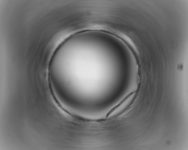 X0000091991424200709061409