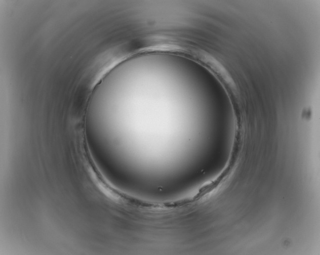 X0000091991425200709061409