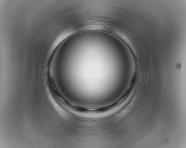 X0000091991426200709061409