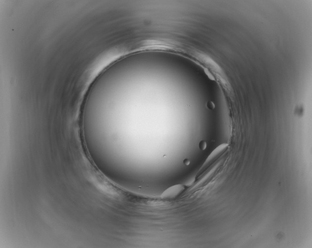 X0000091991427200709061409