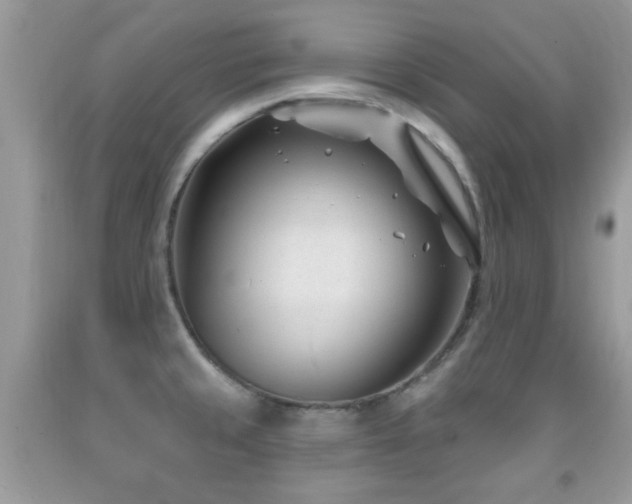X0000091991429200709061409