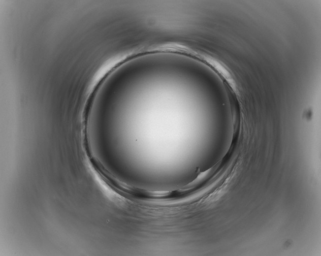 X0000091991430200709061409