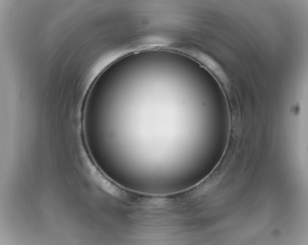 X0000091991431200709061409