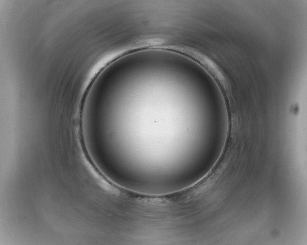 X0000091991432200709061409
