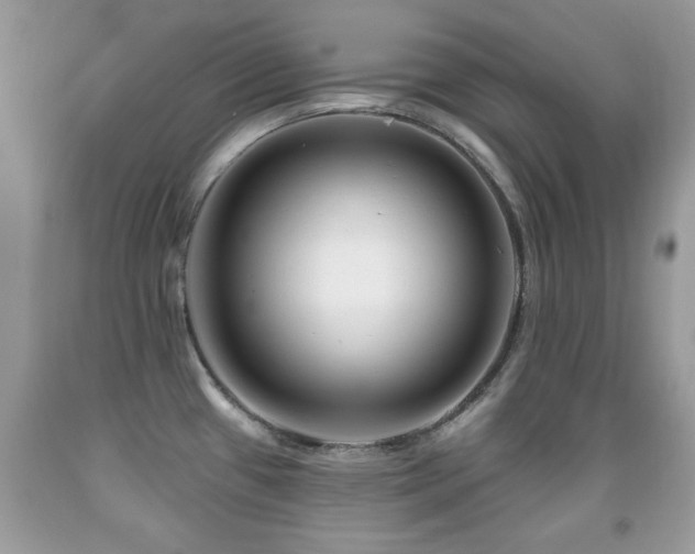 X0000091991433200709061409