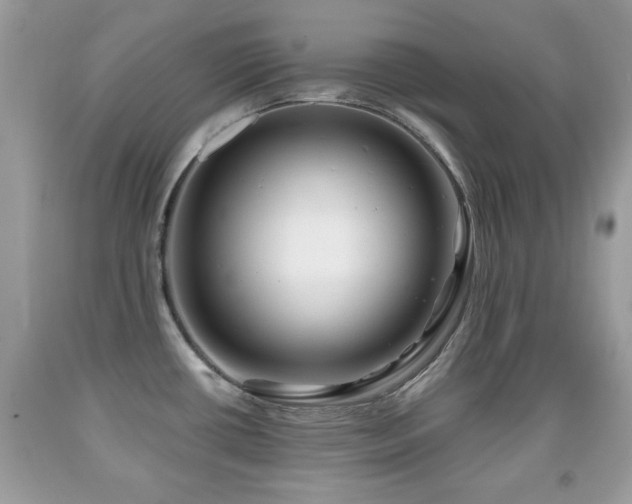 X0000091991434200709061409