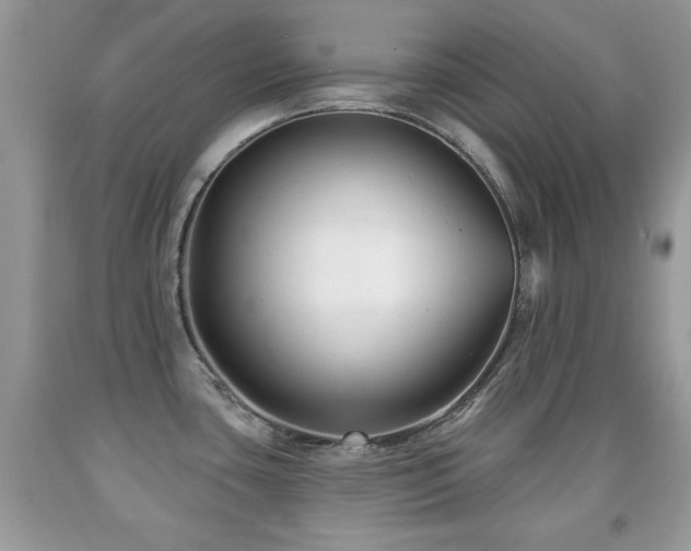 X0000091991435200709061409