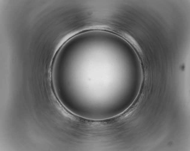 X0000091991436200709061409