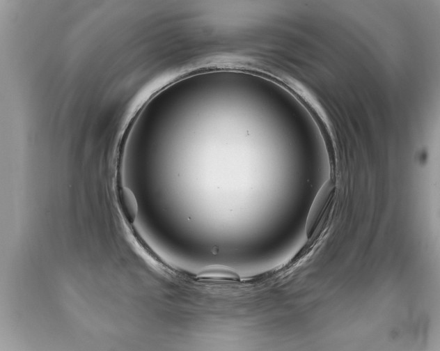 X0000091991437200709061409
