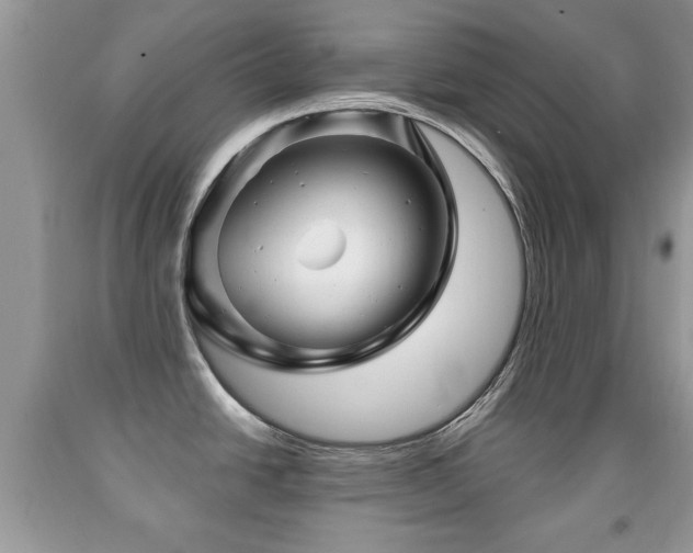 X0000091991438200709061409
