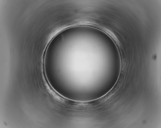X0000091991439200709061410