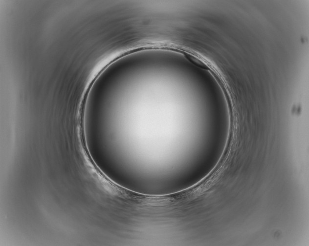 X0000091991440200709061410