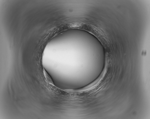 X0000091991441200709061409