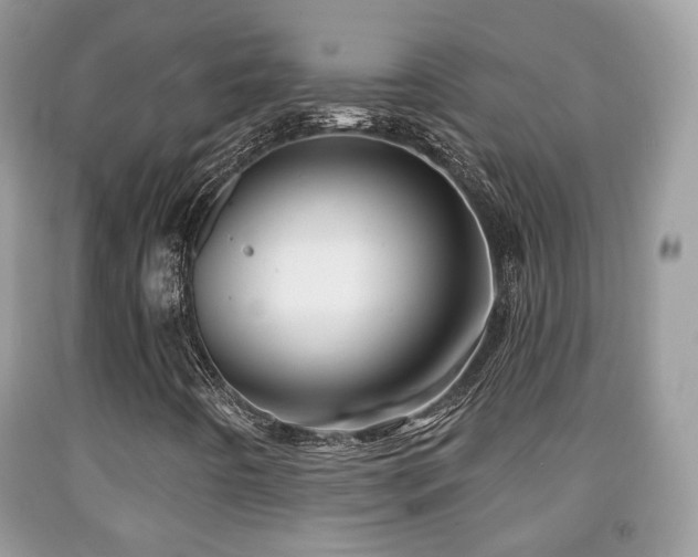 X0000091991442200709061409
