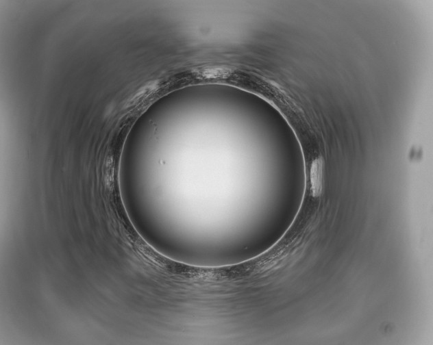 X0000091991443200709061409