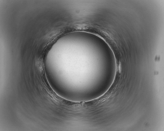 X0000091991444200709061409