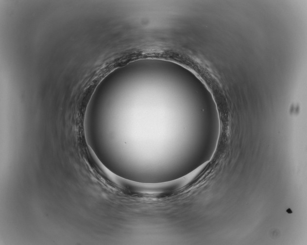 X0000091991445200709061409