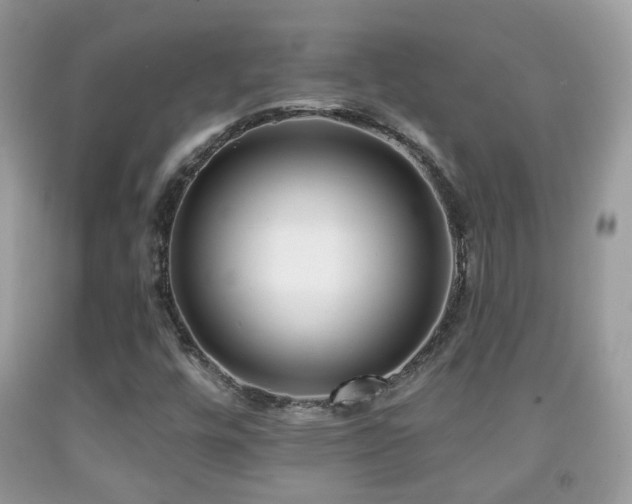 X0000091991448200709061408