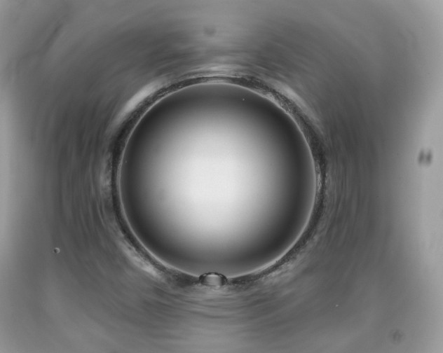 X0000091991450200709061408