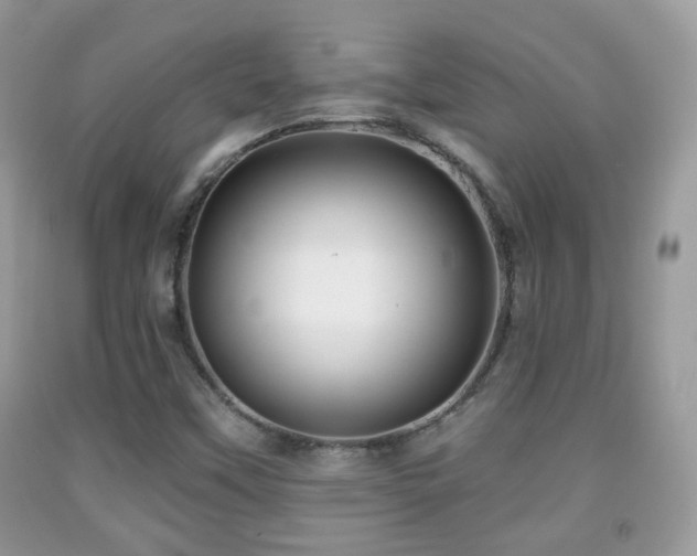 X0000091991451200709061408