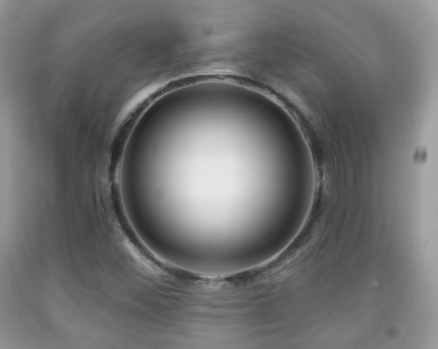 X0000091991452200709061408