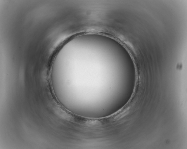 X0000091991454200709061408